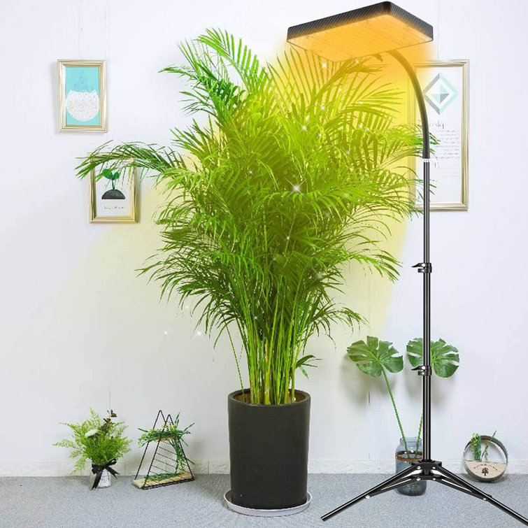 BTERAZ Grow Lights For Indoor Plants With Stand, Tripod Stand Wayfair